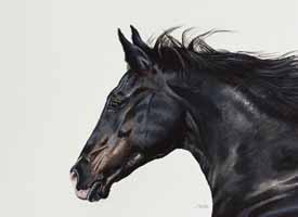 Black Horse